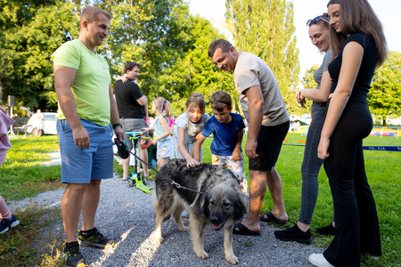 Pasji športni dan_6. 8. 2025 (9)